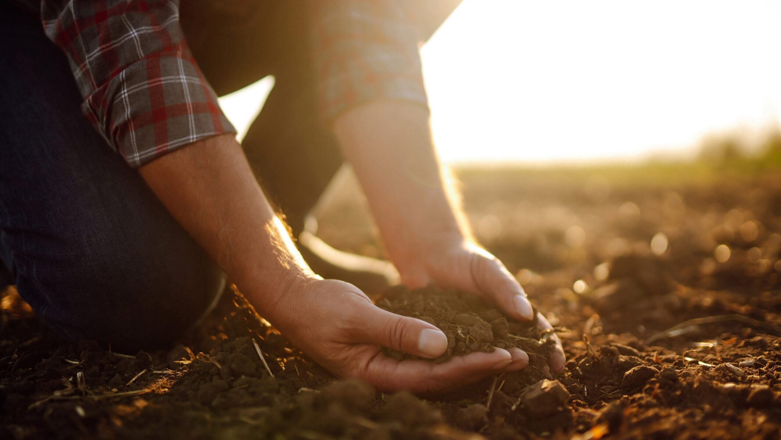 Person in field